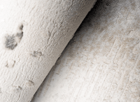 Tapis beige en tissu texturé 200 x 290 cm VANILLE