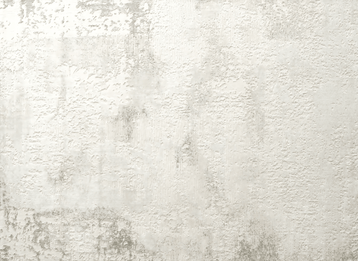 Tapis beige en tissu texturé 200 x 290 cm VANILLE